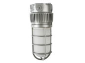 NaturaLED 7606 LED-FXVTJ20/830/MV-CM 20 Watt Ceiling Mount LED Vapor Tight Jelly Jar Fixture, 3000K