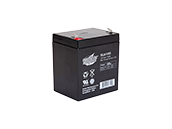 Interstate Batteries 12V SLA1055 General Purpose Battery, For Use In Exit And Emergency Lighting Fixtures