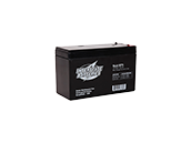 Interstate Batteries 12V SLA1075 General Purpose Battery, For Use In Exit And Emergency Lighting Fixtures